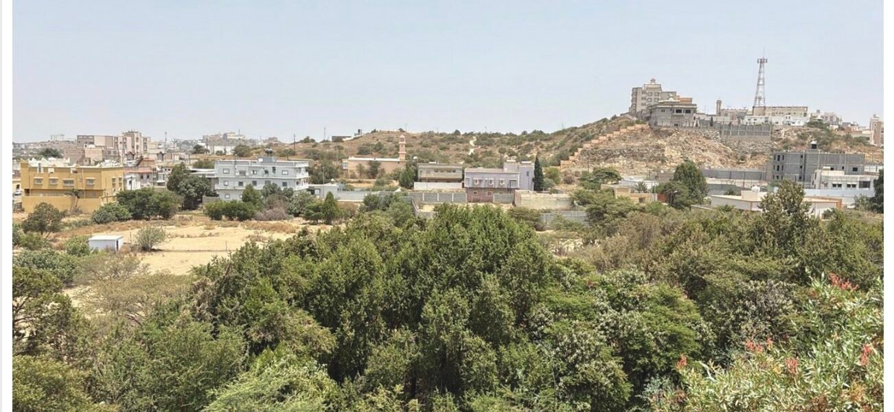 منتزه الفحمة