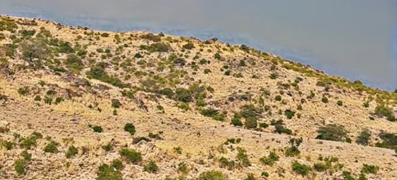 منتزه يرب البري